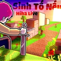 hiha_stnn