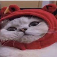 Tác giả