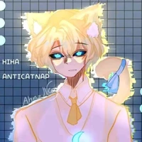 Hiha Anti Catnap