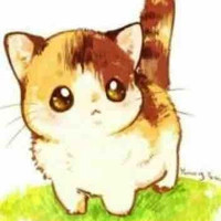 Mèo con 