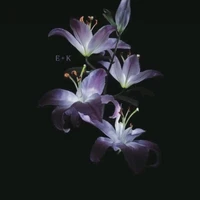 Tổng hợp (trừ ai cần trừ)