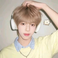 Trần Tuấn Minh (nhóc)