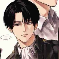 Levi