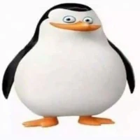t/g bel