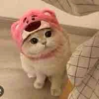 Bông