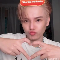 phạm đình thái ngân