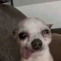 Ki