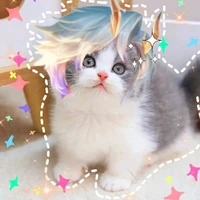 乙