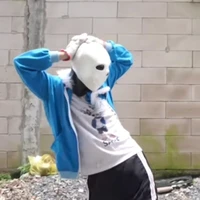 Sans Zép Hồng