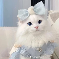 all lớp