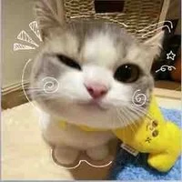 t/g đâyyyy