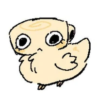shelly