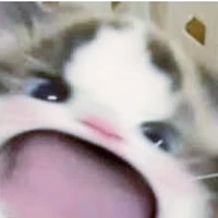 Hệ thống depzainhatthegioi(kiki)