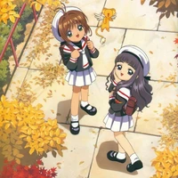 cả 3 người ở Cardcaptor Sakura