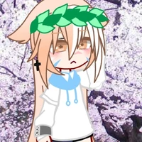 🌸Mèo béo 💐
