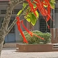 Tác giả