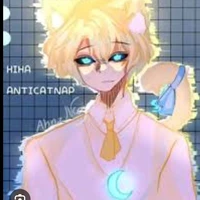hiha anticatnap
