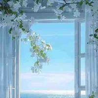 Mình là người viết