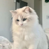 Kiều(dạng linh thú)