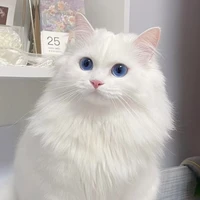 Duy(dạng linh thú)