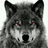 Rhyder (Dạng linh thú)