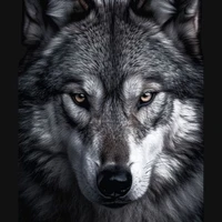 Dương Dạng linh thú