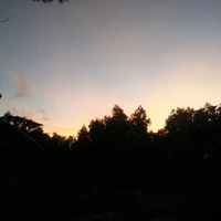 cả lớp /mn