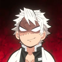 Shinazugawa Sanemi🌪