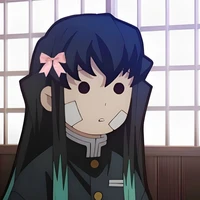 Tokito Muichirou🌫