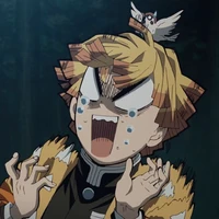 Agatsuma Zenitsu⚡