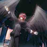 Hiha crow