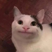 t/g xắu xí:>