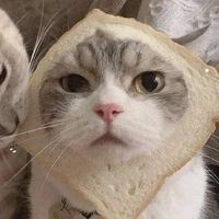 amili ( bạn thân kịa )