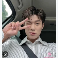 Trần Đăng Dương (Dương Domic)