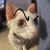 Tác giả cute