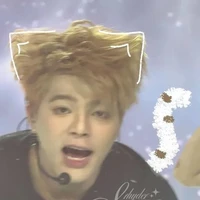 Nguyễn Quang Anh (dạng mèo)