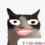 hệ thống