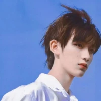 Đinh Trình Hâm ( Alpha cấp S )