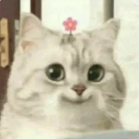 tác giả mê truyện