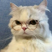 T/g Meow