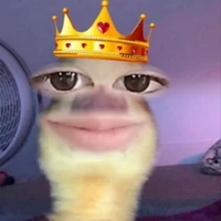 T/g bay tới đây👑