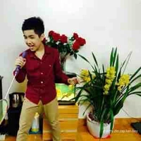 Hoàng Đức Duy