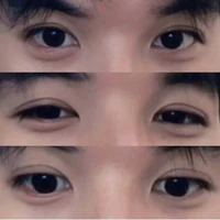 all top ( trừ 1 số trường hợp )