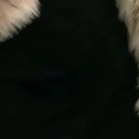 ???2