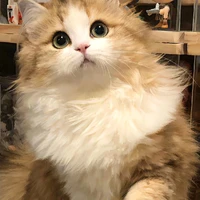 hệ thống (đori)