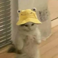 trần Thị Bạch  Kim ( Ginno)