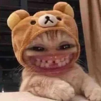 hệ thống