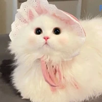 tg này bị xàm á