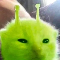 128 - Hệ Thống Mồn Lèo Xanh