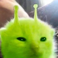 Hệ Thống Mèo Xanh